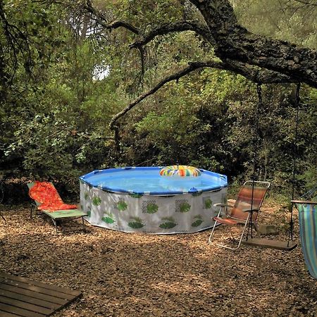La Cabana Del Alcornoque Кордова Экстерьер фото