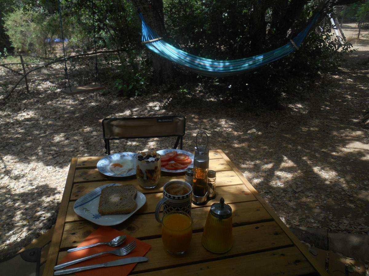 La Cabana Del Alcornoque Кордова Экстерьер фото